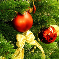 Поздравляем с наступающим Новым 2015 годом и Рождеством! Поздравляем с наступающим Новым 2015 годом и Рождеством!